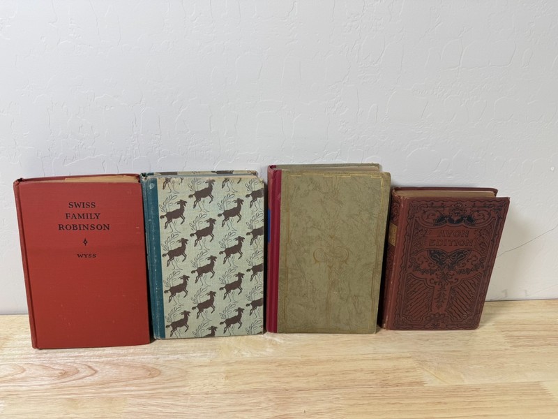 Vtg Hard Cover Books Swiss Family Robinson Heidi Hans Brinker Tom Brown Lot Of 4