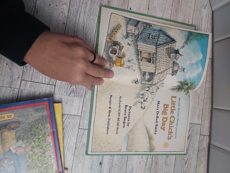 I Can Read Bks.: Little Chick's Big Day by Mary D. Kwitz (1981, Hardcover) gallery