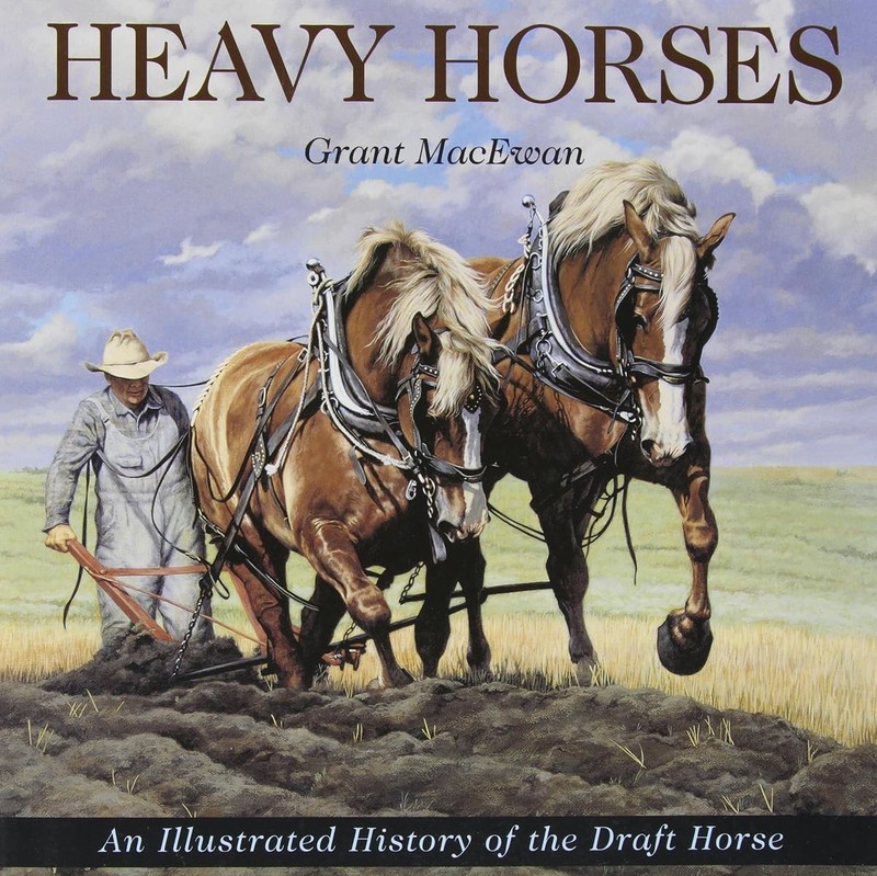 Heavy Horses – paperback MacEwan, Grant