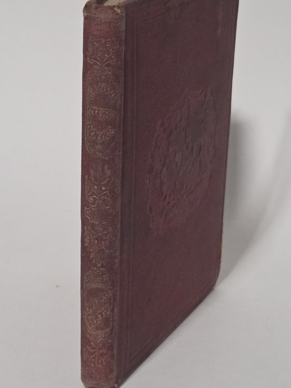 Careless Kate Oliver Optic 1869 Riverdale Story Books Lee & Shepard Antique Kid