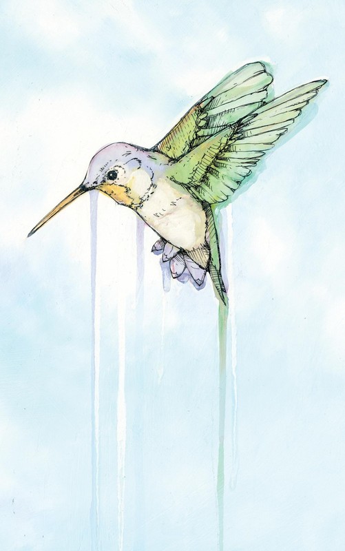 Hummingbird: Essays (Genuine Rare Bird Book)