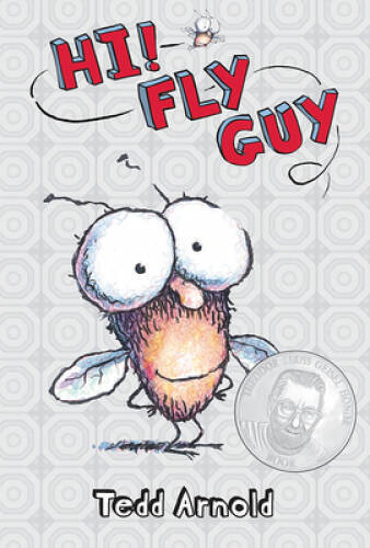 Hi! Fly Guy – Hardcover By Tedd Arnold – VERY GOOD