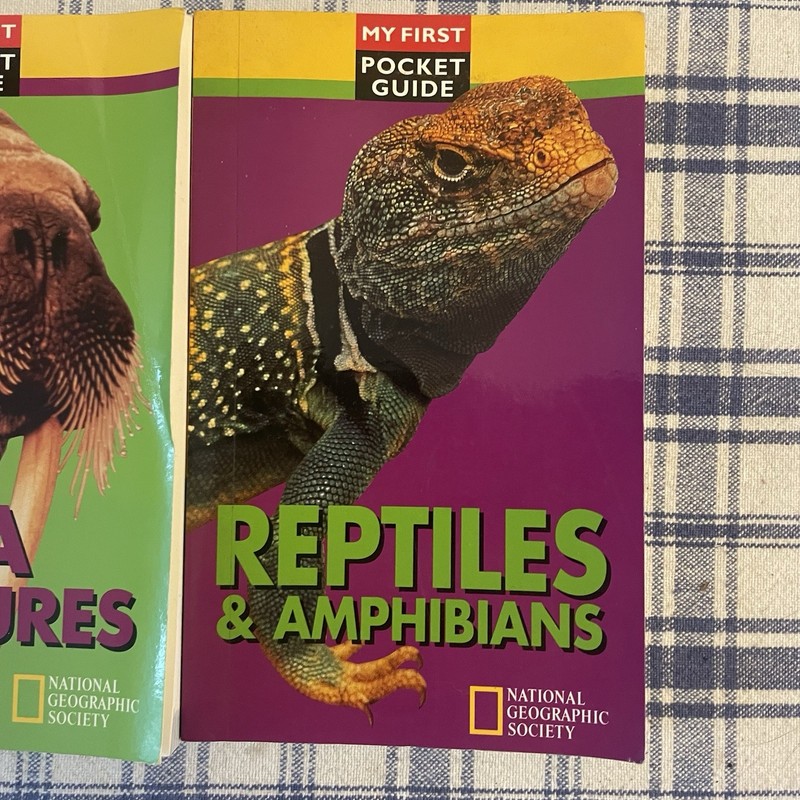 Lot of 3 "My First Pocket Guide" Animal Wildlife Books NATIONAL GEOGRAPHIC gallery