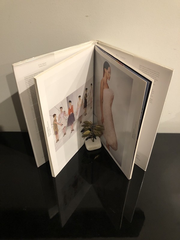 Radical Fashion Claire Wilcox Abrams 2001 First Ed/F.Print ExL HC DJ VG Fashion gallery