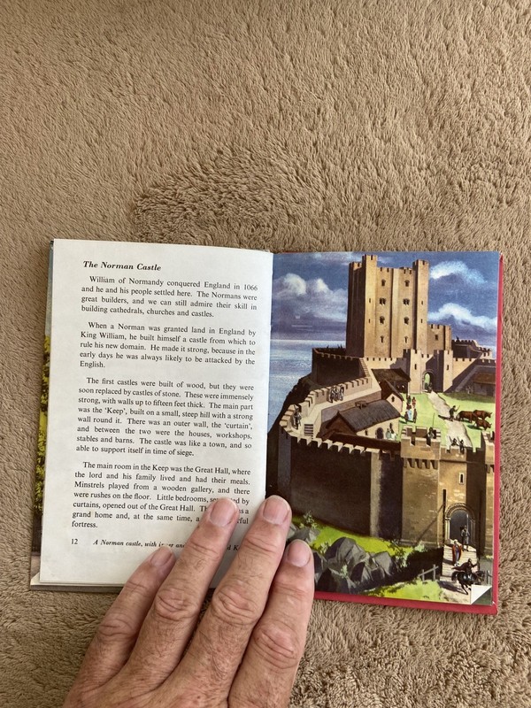 THE STORY OF HOUSES AND HOMES . A Ladybird Achievements... - Richard Bowood gallery