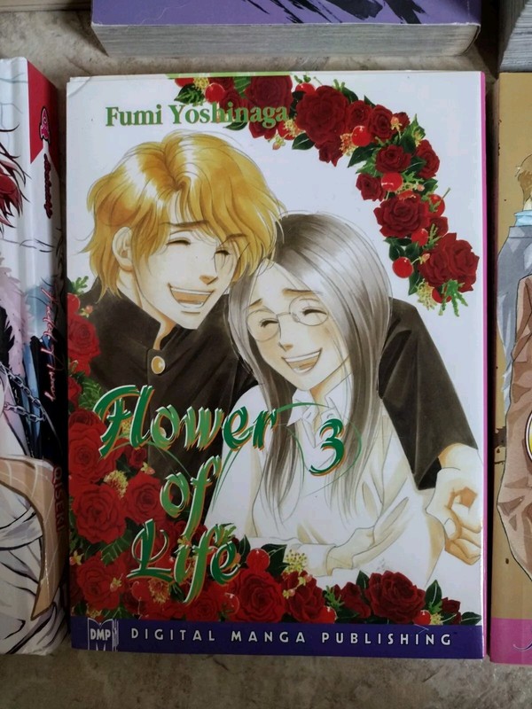 Huge English Manga Lot of 8 No Duplicates Fantasy Adventure Comedy Romance VGC gallery