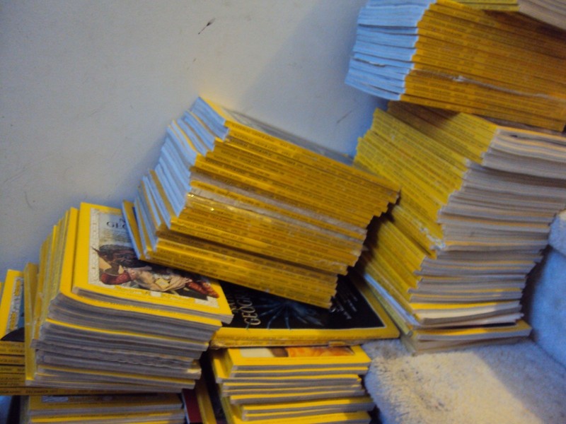 Lot 100 National Geographic Magazine Random Pick 1980s – 2020s No duplicate