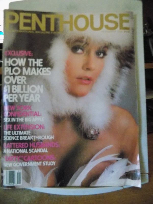 PENTHOUSE MAGAZINE – November, 1986 (Pet BETH SNYDER)