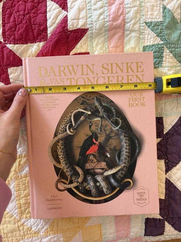 Our First Book - Fine Taxidermy : By Darwin, Sinke and Van Tongeren, 2018 gallery