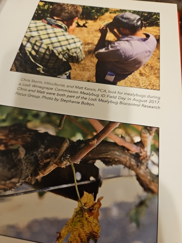 Agricultural Winegrape Book 137 Pages gallery