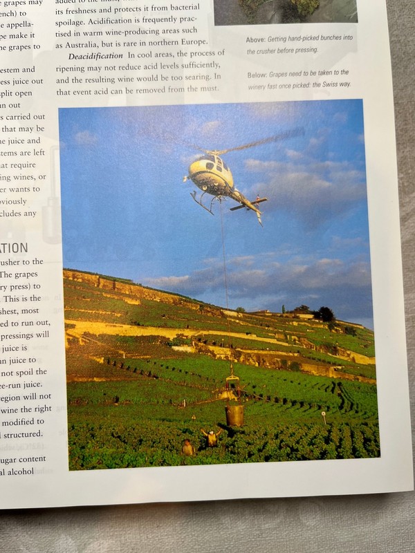2004 The Global Encyclopedia of Wine Illustrated Easton Wellfleet Press gallery