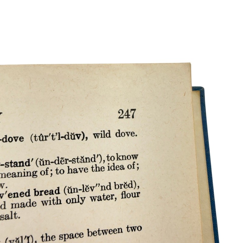 Benziger Brothers The Bible Story 1931 Catholic Textbook Illustrated Lower Grade gallery