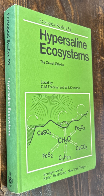 Hypersaline Ecosystems: The Gavish Sabkha - Ecological Studies 53 - Hardcover gallery