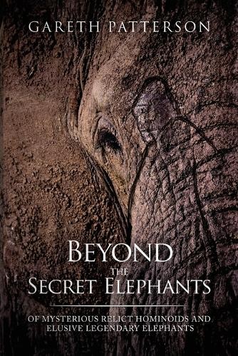 Gareth Patterson Beyond the Secret Elephants (Paperback)