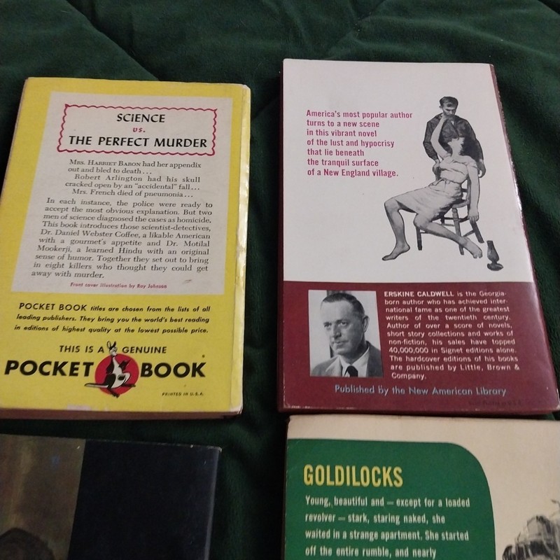 10 Vintage Signet Dell Paperback Books 40s 50s 60s Noir Smut Crime Love Lot gallery
