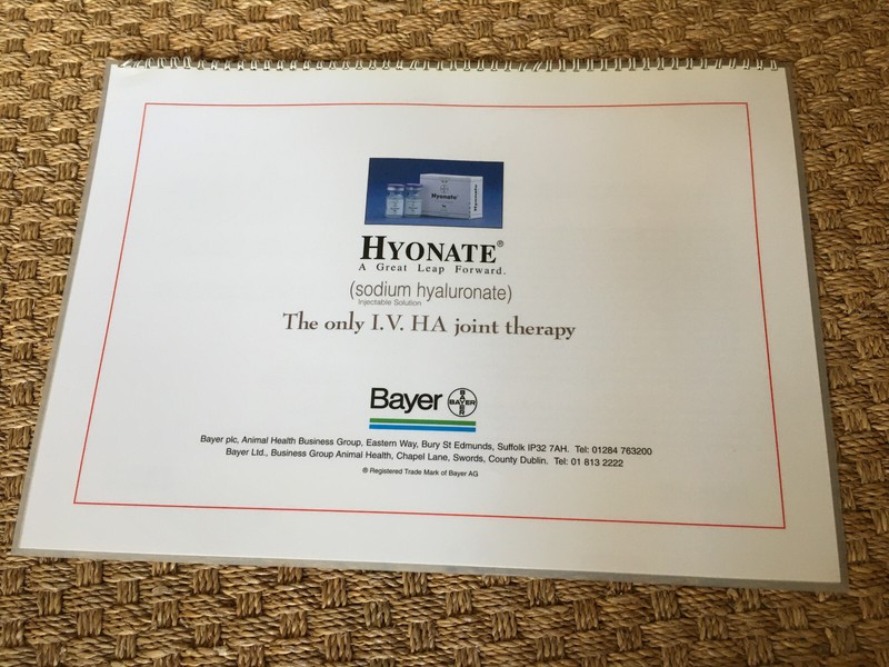Equine Joint Disease laminated illustrations Bayer Hyonate booklet 43 x 30.5 cm gallery