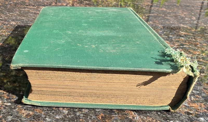 The Life of Abraham Lincoln by Joseph Barrett 1888 Worthington Co. HC gallery