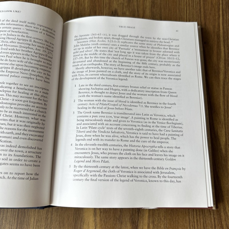 What Did Jesus Look Like? by Joan E. Taylor 2018 T&T Clark Hardcover gallery