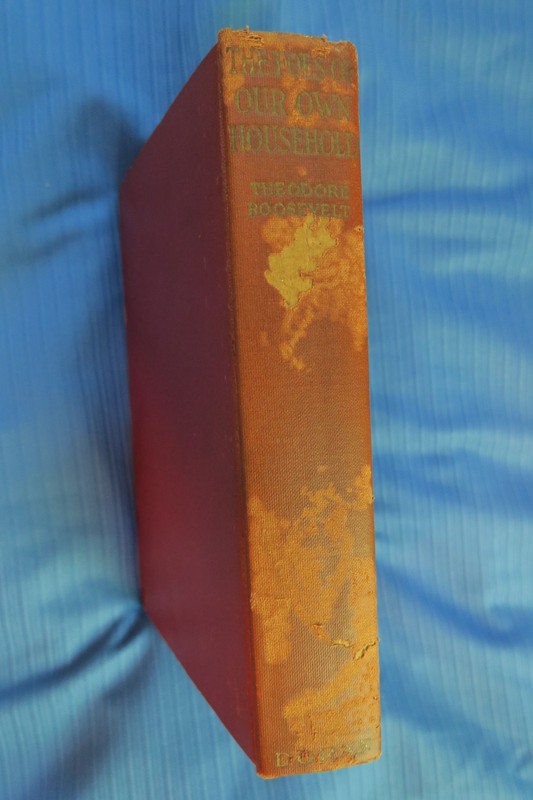 THE FOES OF OUR OWN HOUSEHOLD by Theodore Roosevelt HC 1917 1st Edition! gallery