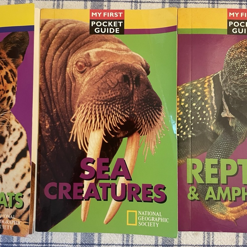Lot of 3 "My First Pocket Guide" Animal Wildlife Books NATIONAL GEOGRAPHIC gallery