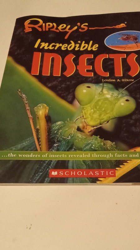Ripley’s Incredible Insects by Louise A. Gikow, Paperback Illustrated Scholastic