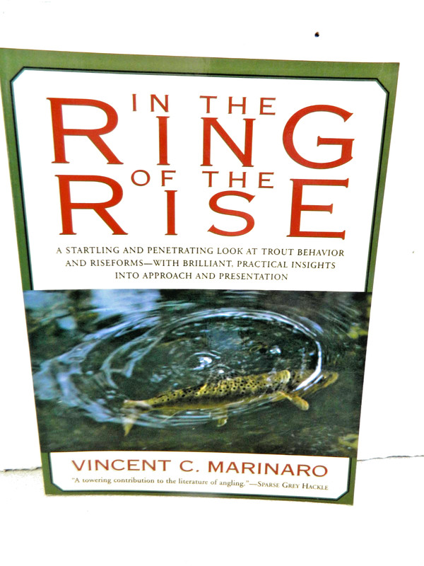 IN THE RING OF THE RISE Illustrated by Pearce Bates