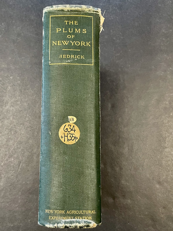 The Plums of New York U.P. Hendrick 1911 Volume 3 Part II Ex-Library 616 Pages