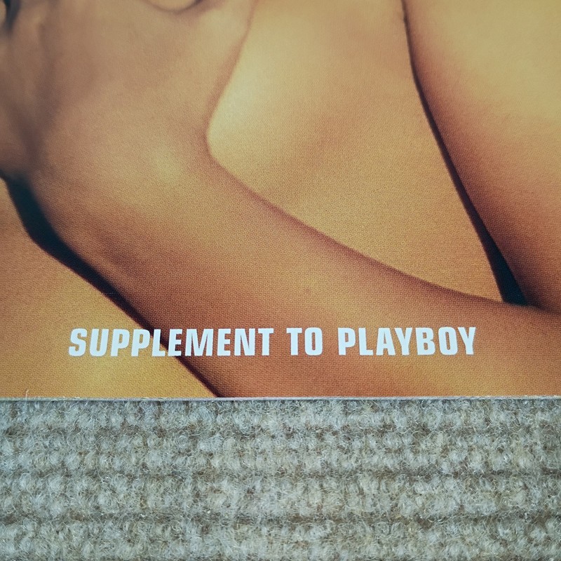 Playboy's Sizzling Summer Nudes Magazine Supplement 2003 Adult Glamour gallery