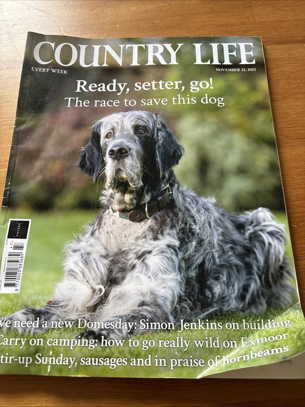 Country Life November 22, 2023 Ready, setter, go!