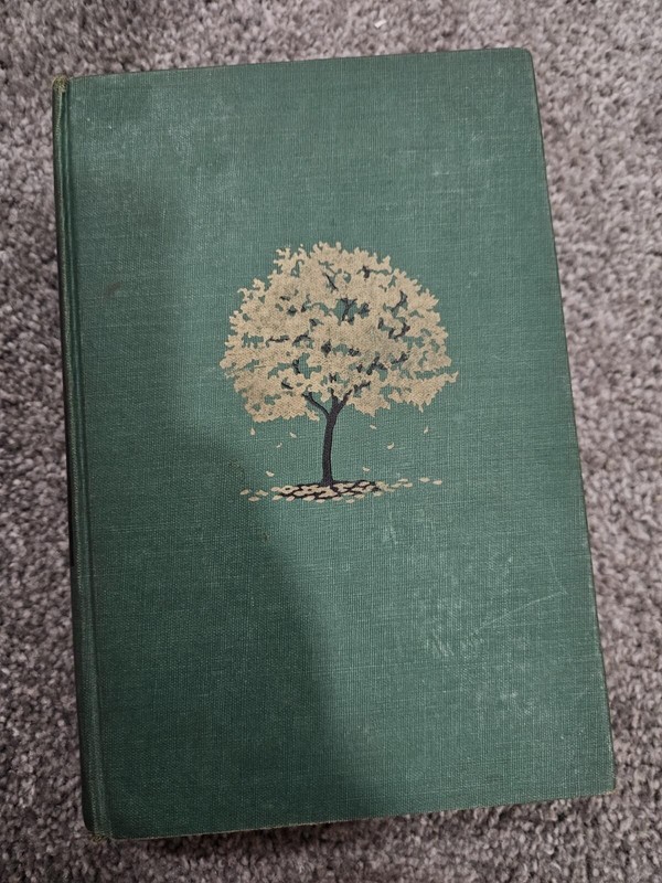 Raintree County by Ross Lockridge Jr Houghton Mifflin Company Boston 1948 LB277
