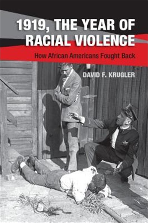 1919, the Year of Racial Violence (Paperback or Softback)