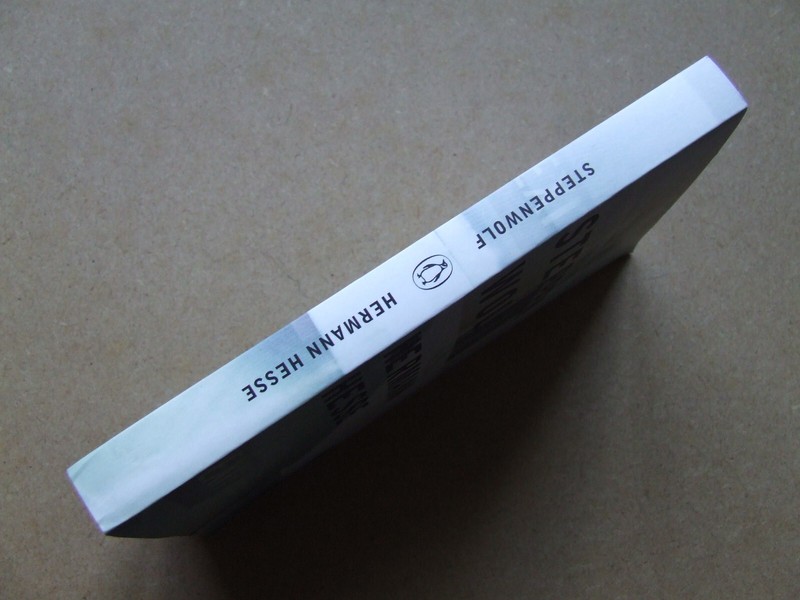 STEPPENWOLF HERMANN HESSE PENGUIN FICTION 1965, 253 PAGES, PAPERBACK gallery