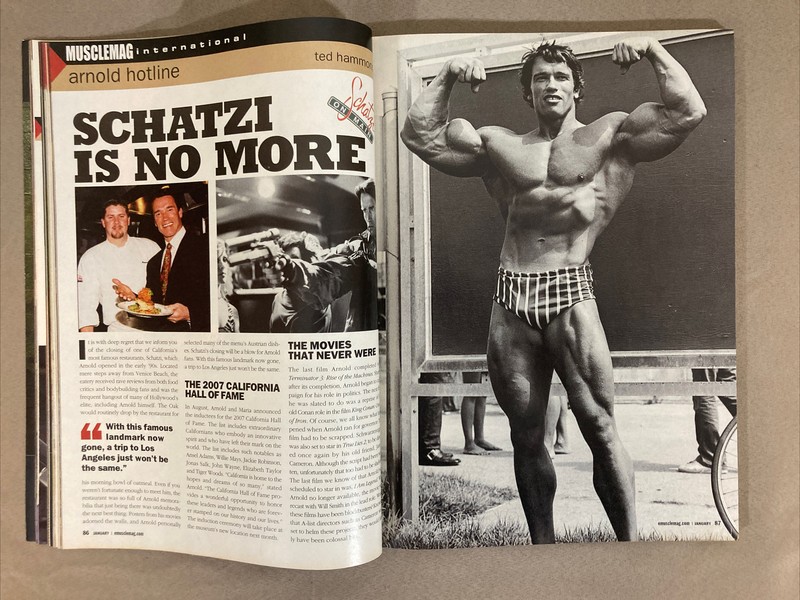 Musclemag Bodybuilding Fitness Magazine / Annik Nayler + Mr Olympia Contest 1-08 gallery