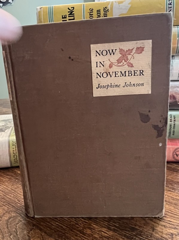 Josephine Johnson / Now In November 1st Edition 1934 First Printing gallery