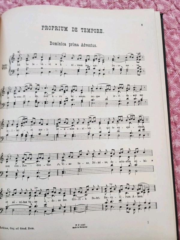 Organum Comitans Ad Proprium De Tempore Latin Mass Sheet music 1924 - 139 Pages gallery