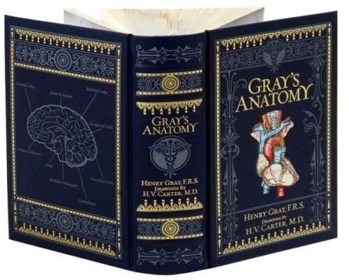 Collectible GRAY’S ANATOMY Leather Bound by Henry Gray Illustrated-SEALED NEW