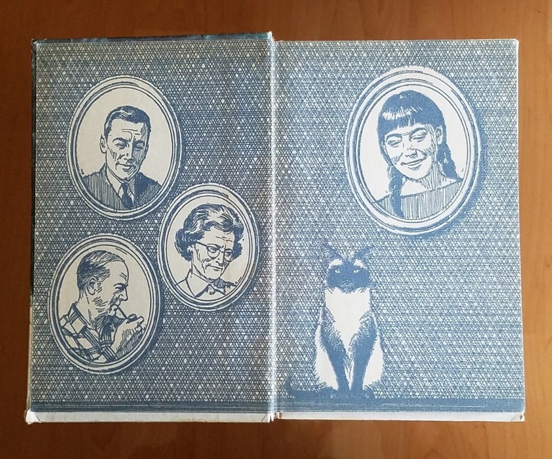 Meg ~ The Ghost Of Hidden Springs Vintage HC Book Whitman 1970 Holly Beth Walker gallery
