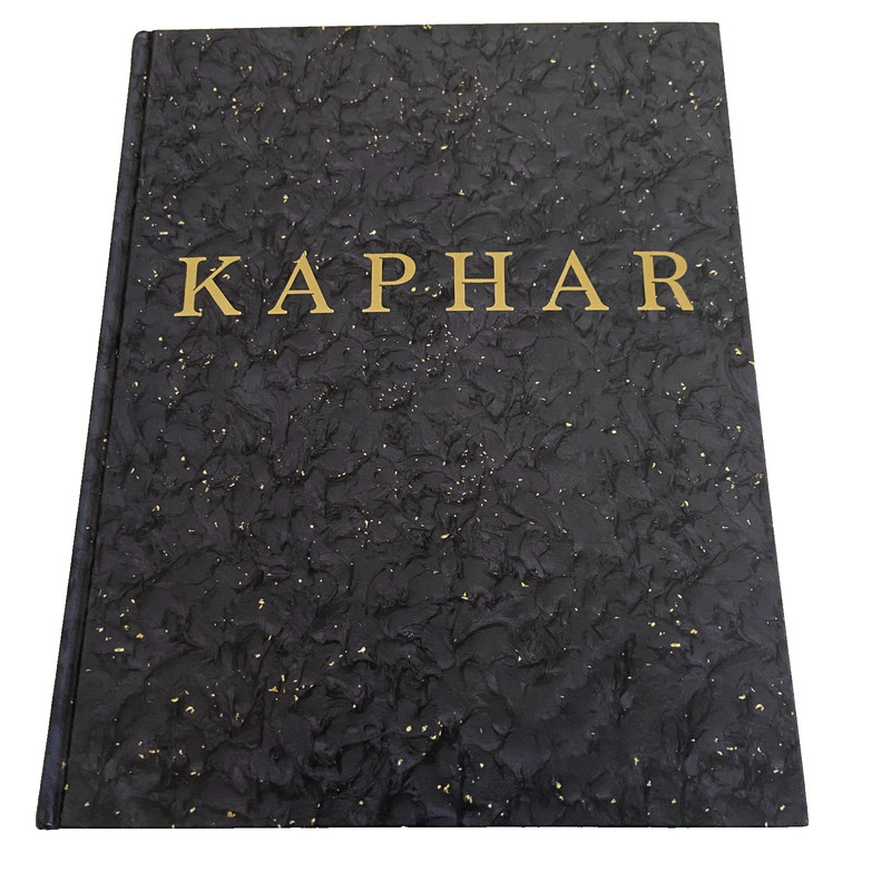 Titus Kaphar: Language of the Forgotten Hardcover 2019 1st Edition