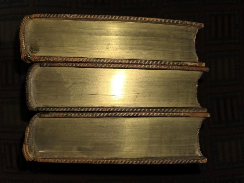 1888 1st Ed: The American Commonwealth calf leather w/color map Alfred Beit gallery