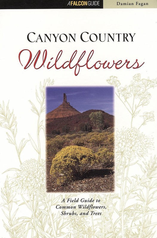 Canyon Country Wildflowers: A Field Guide to Common Wildflowers, Shrubs, and…