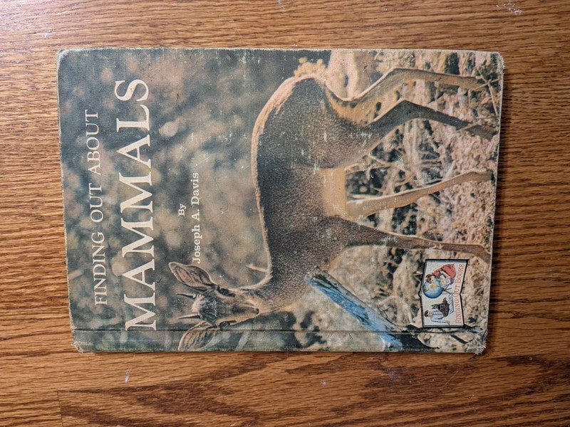 Finding Out About Mammals Joseph A. Davis Jr Hardcover Illus 1963 Ages 9-12