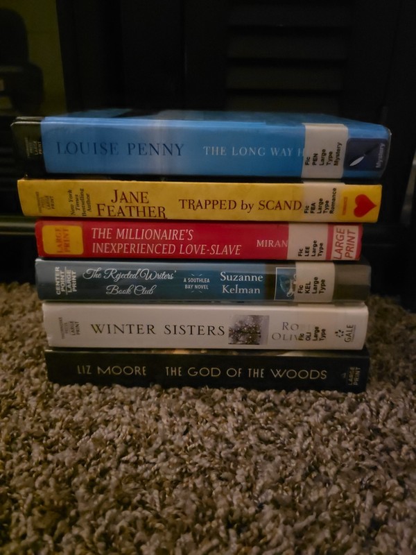 Lot Of Six Large Print Books: 5 Hardback 1 Paperback (Liz Moore)