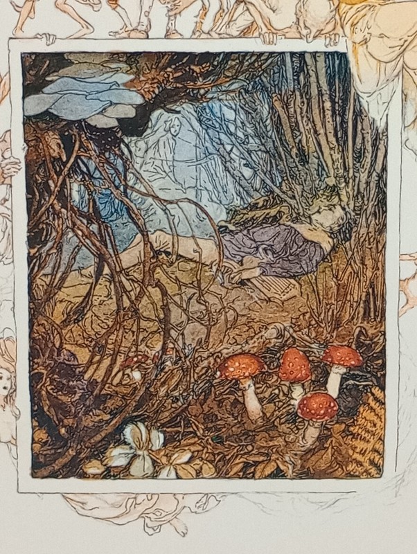 FAERIES HC/DJ 1978 Described & Illustrated Brian Froud & Alan Lee SEE Pictures gallery