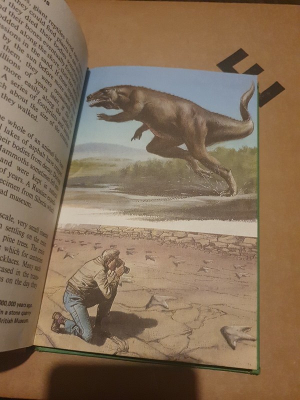 Ladybird book Series 651 Prehistoric Animals And Fossils Robert Ayton Good gallery