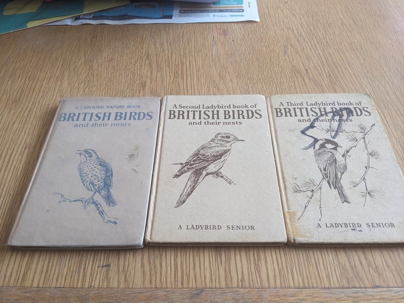 Wills & Hepworth British Birds and their Nests – Set of Three – Ladybird