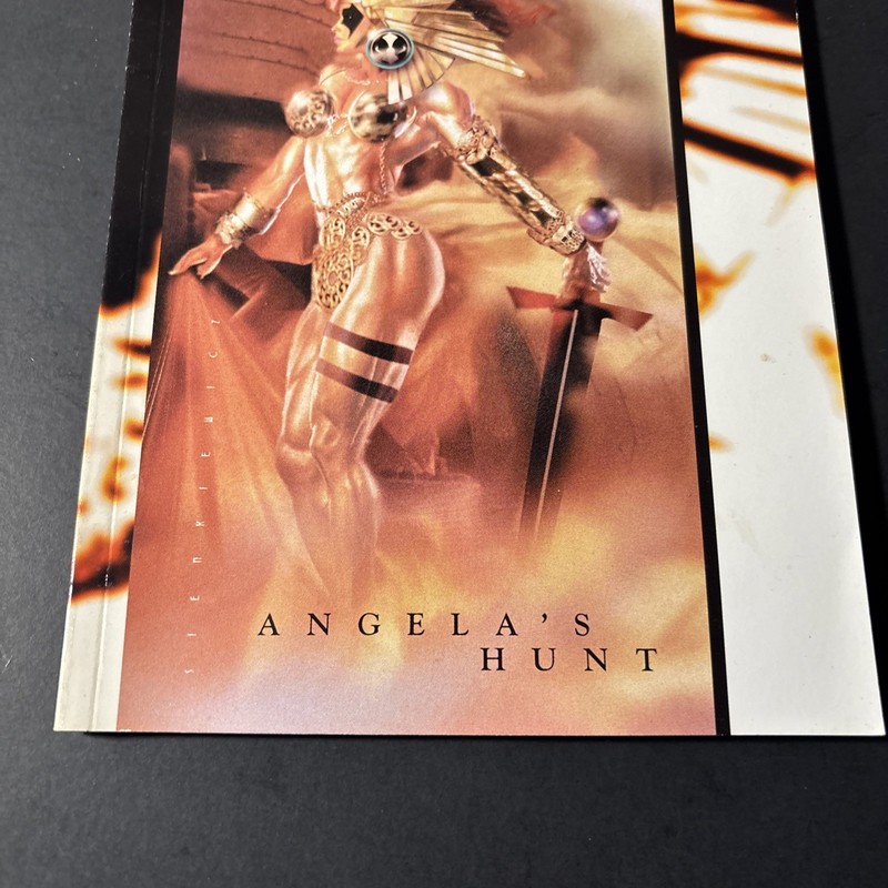 Spawn - Angela's Hunt by Neil Gaiman and Beau Smith 1995 Trade Paperback JL gallery
