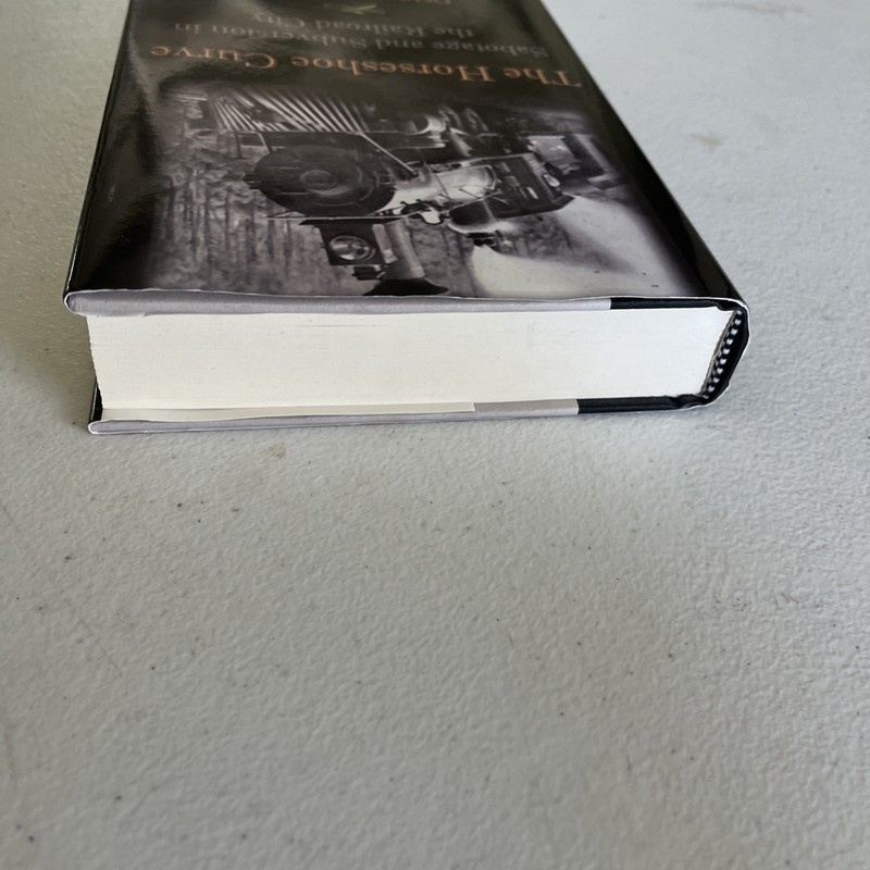 HORSESHOE CURVE : SABOTAGE AND SUBVERSION IN THE RAILROAD By Dennis P. Mcilnay gallery
