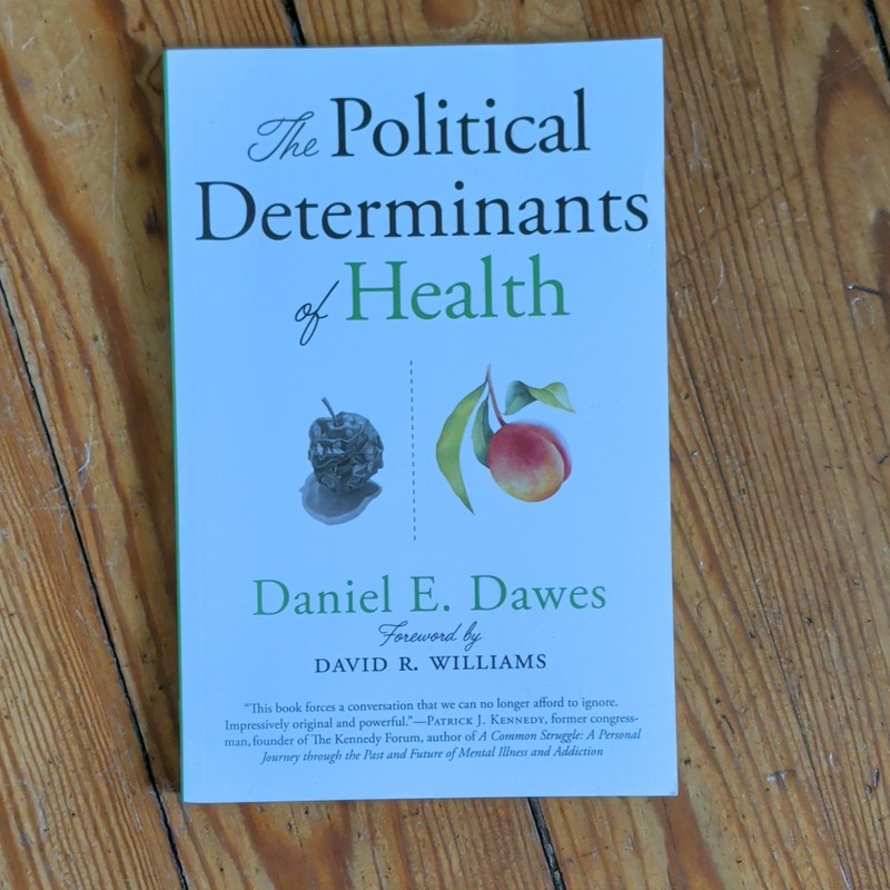 The Political Determinants of Health Daniel E. Dawes Paperback 2020 JHUP