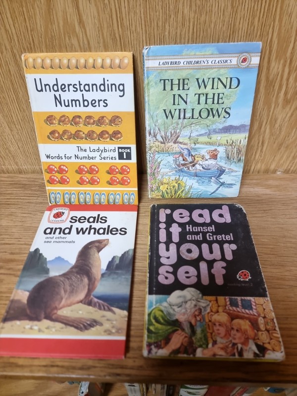 20 Vintage Ladybird Books Various Series Job Lot (BT) gallery