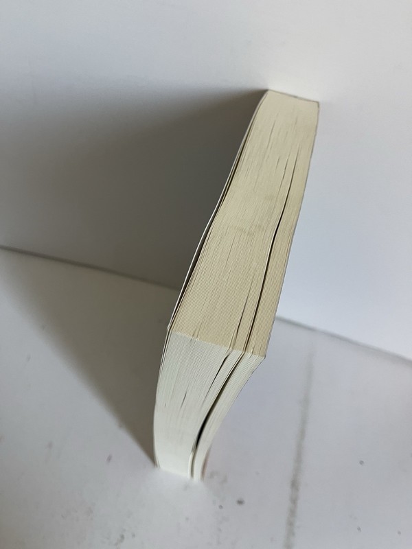 Weapons of Wyn: A Woman's Viking Era Adventure SIGNED PAPERBACK 2023 1ST EDITION gallery